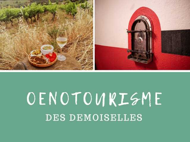 LES SENTIERS DU VIN