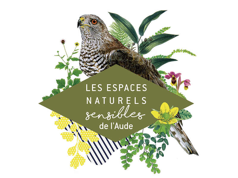 ENS -  INITIATION A L'ORNITHOLOGIE