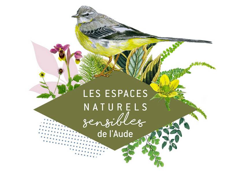 ENS - À LA DECOUVERTE DES OISEAUX REMARQUABLES DE NOS GARRIGUES