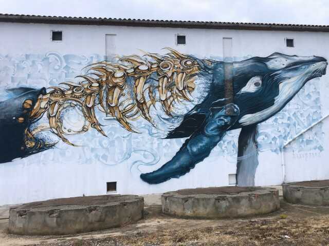 JEP 2025 - MUSÉE SPIKTRI