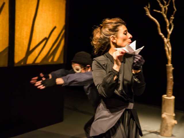 SPECTACLE LE SILENCE DES OISEAUX