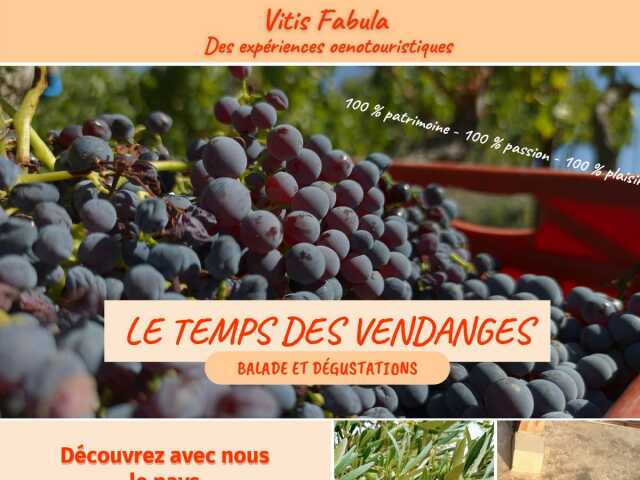 LE TEMPS DES VENDANGES