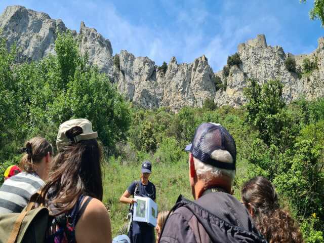 JEP 2025 - OBSERVATION DES OISEAUX MIGRATEURS