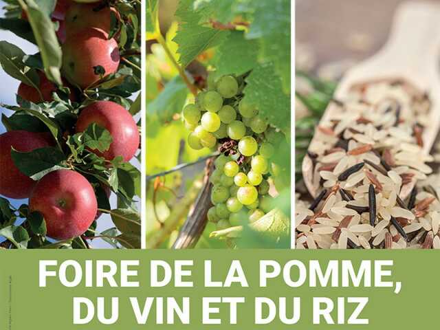 FOIRE DE LA POMME, DU VIN ET DU RIZ