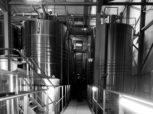 VES 2025 - L'AME DU CHAI - VISITE EXCLUSIVE