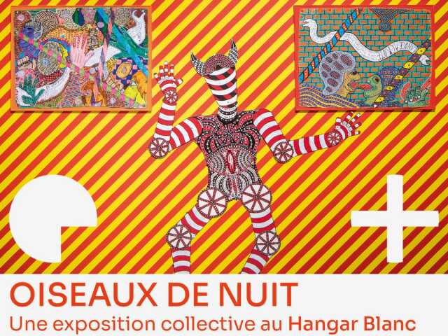 OISEAUX DE NUIT