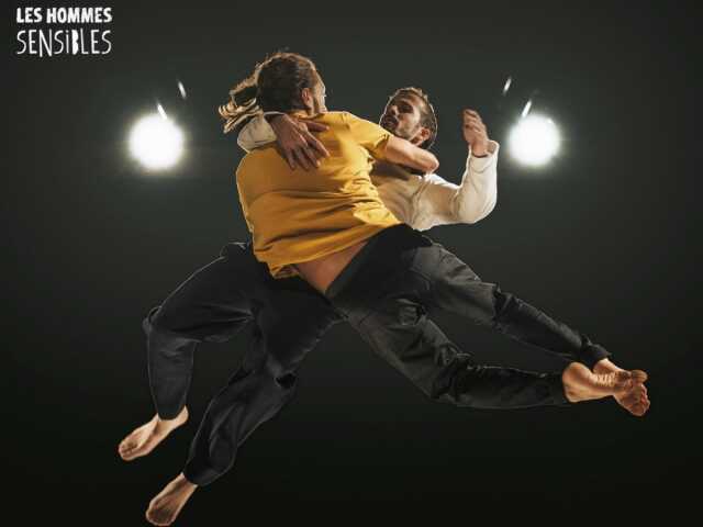 SPECTACLE ACROBATIQUE : SENSIBLE