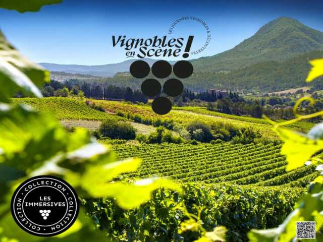VES - ACCUEIL VIGNERON