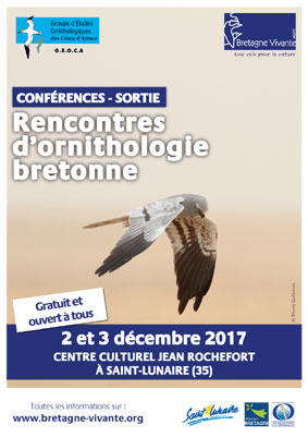 rencontre ornithologique bretonne