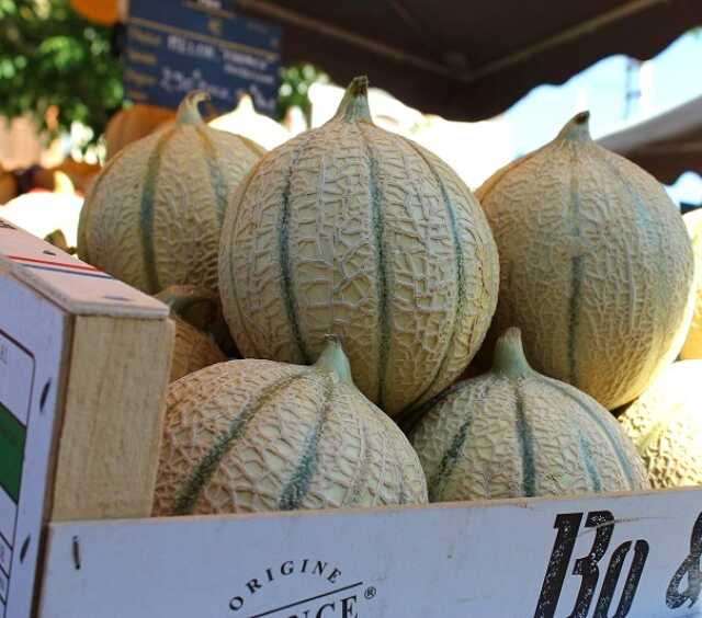 MARCHÉ DE PRODUCTEURS LOCAUX