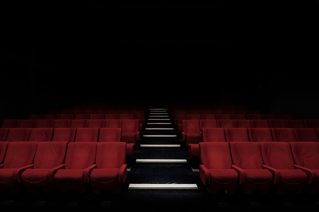 LA  MÉDIATHÈQUE FAIT SON CINÉMA !