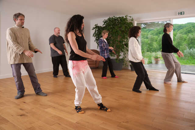 JOURNÉE PORTES OUVERTES TAI CHI CHUAN ET EQUILIBRE POSTURAL     À SAINT MICHEL 31220