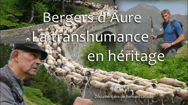 CINÉMA : SOIRÉE SPÉCIALE : BERGERS D'AURE, LA TRANSHUMANCE EN HÉRITAGE