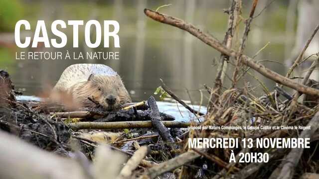 CINÉ RENCONTRES ASSOCIÉES : CASTOR - LE RETOUR À LA NATURE