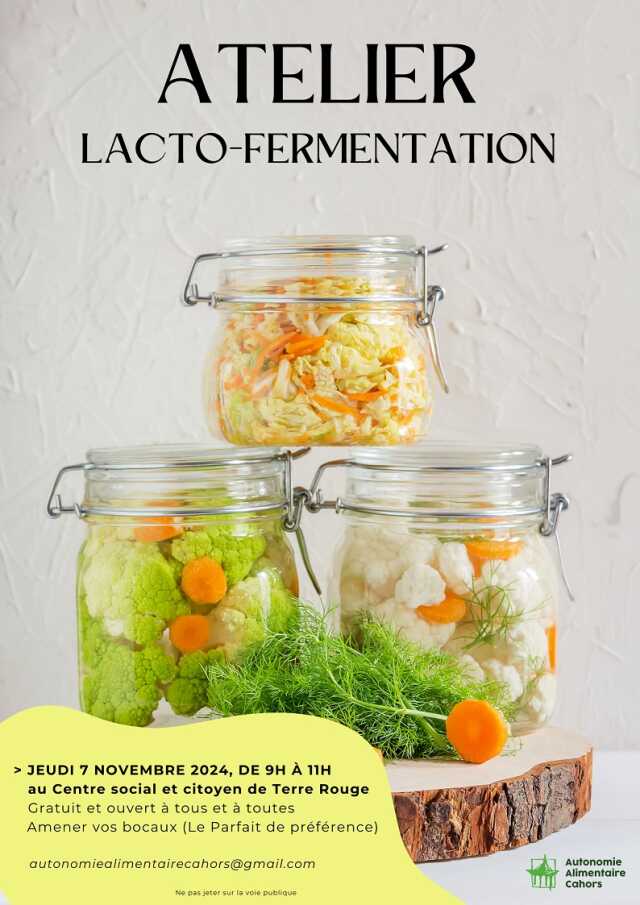 Atelier lacto-fermentation