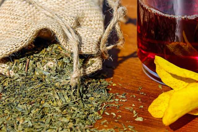 Conférence :''Cueillette et soins : usages des plantes médicinales locales''