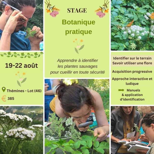 Stage : botanique pratique avec Caroline Calendula à Thémines