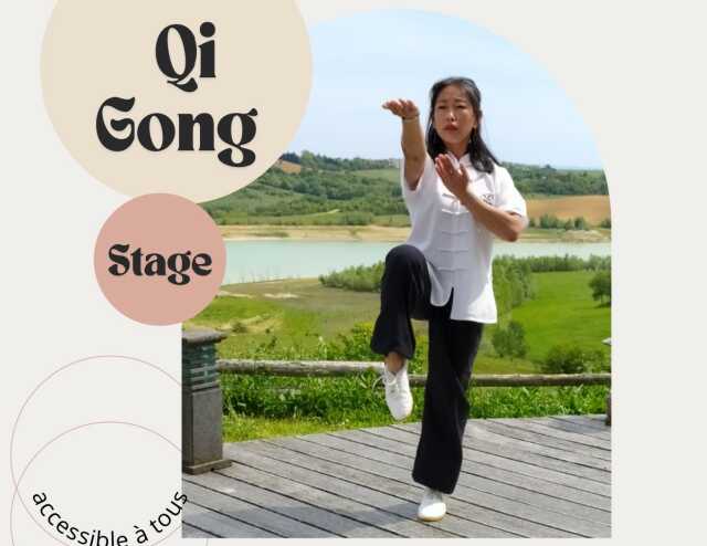 Stage de Qi Gong