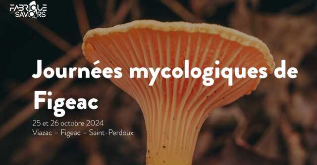 Balade mycologique avec la Fabrique des savoirs à Figeac