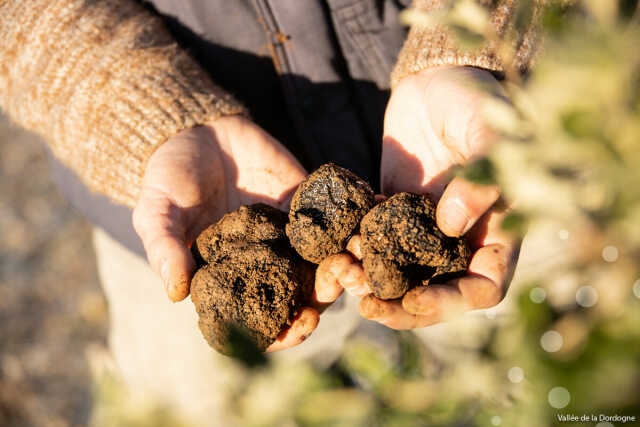 Marché de la Truffe de Souillac