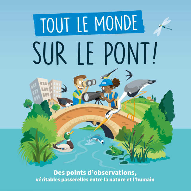 Animation de la LPO : Tout le monde sur le Pont