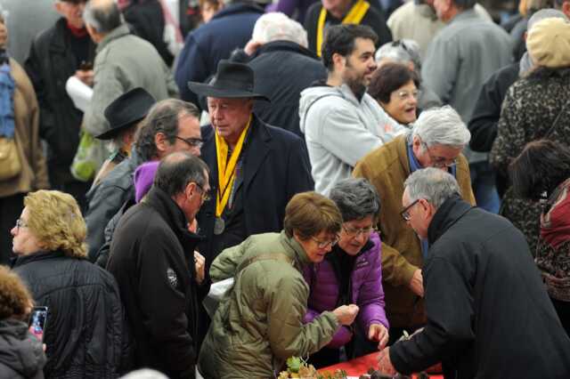 Foire aux truffes de Cuzance