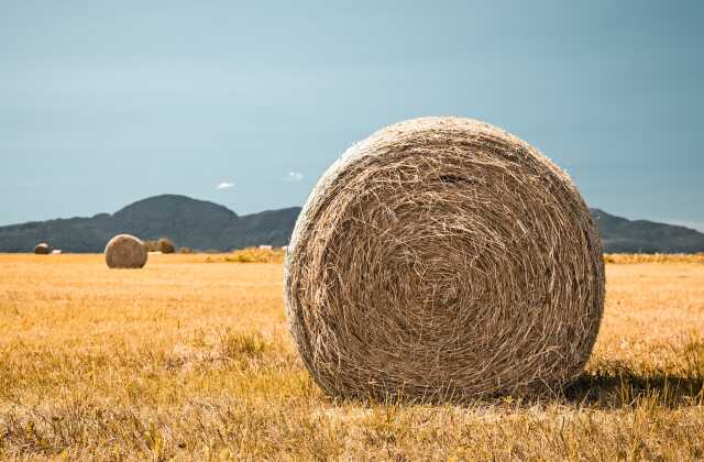 Balade découverte Fermes ouvertes