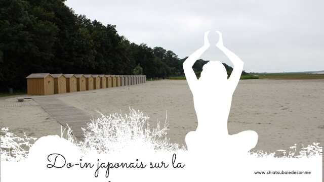 Somme Manifestation Culturelle Do In Japonais Et Shiatsu