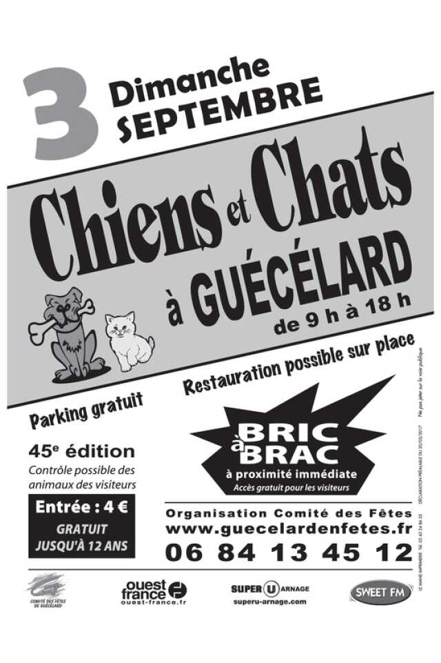 Sarthe Foire Salon Chiens Et Chats Agenda Guécélard