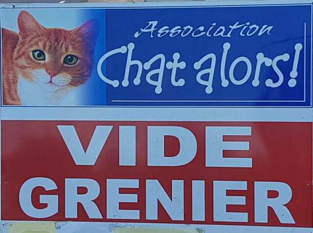 Vendee Brocante Vide Grenier Vide Greniers Special 10 Ans De Chat Alors Agenda Sallertaine