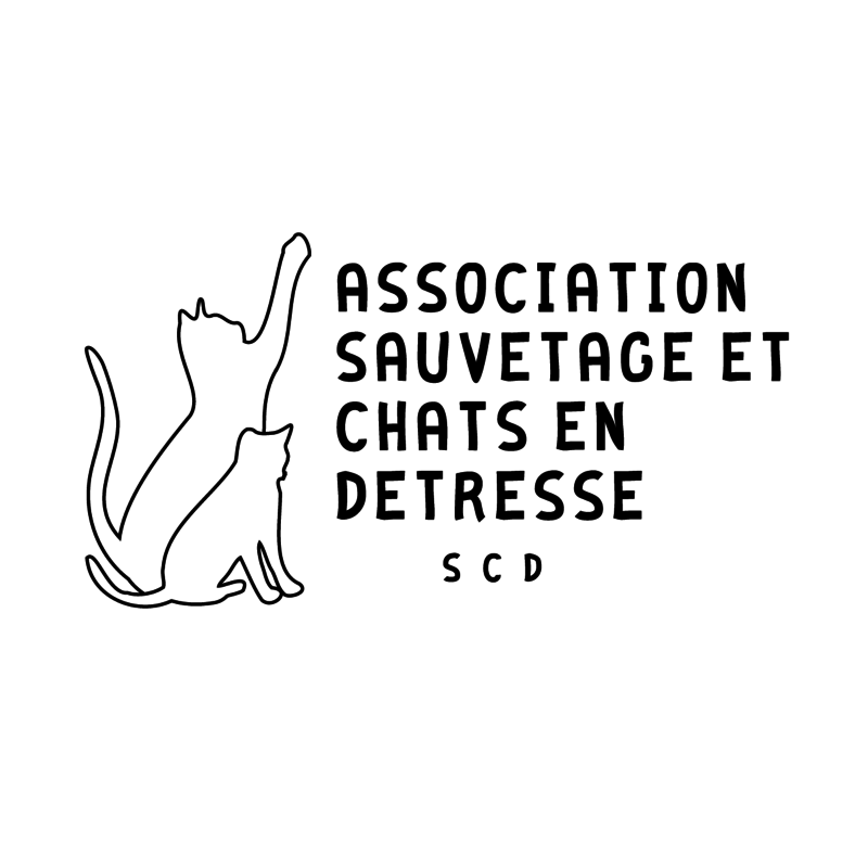 Loire Atlantique Portes Ouvertes De L Association Sauvetage Et Chats En Detresse Agenda Nantes