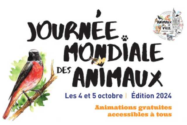 Journée mondiale des animaux - À vol d’oiseau