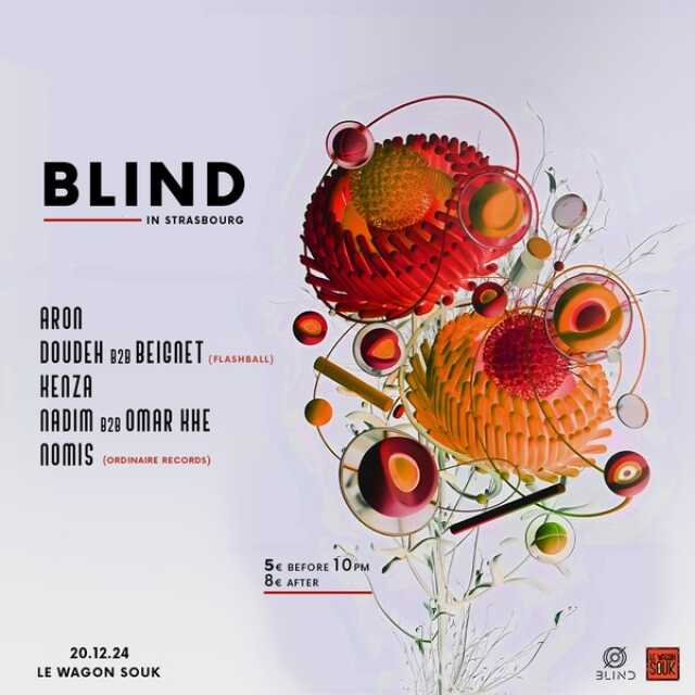 Blind In Strasbourg