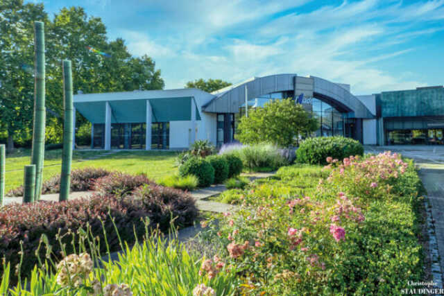 LA FOLLE HISTOIRE DU COUPLE