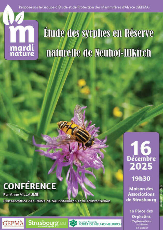 Conférence Mardi Nature - Syrphes