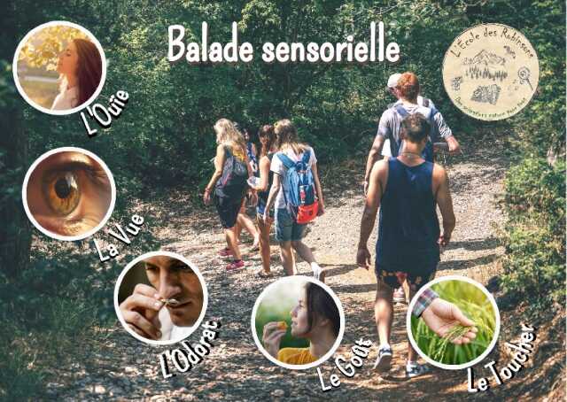 Balade sensorielle et naturaliste