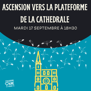 Ascension vers la plateforme de la Cathédrale gratuite pour étudiant·es