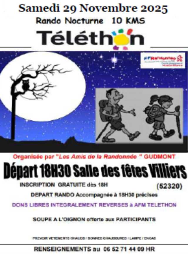 MARCHE SEMI-NOCTURNE AU BENEFICE DU TELETHON