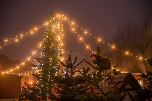 Visite gourmande : Noël et ses traditions