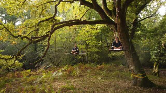 Spectacle : prendre forêt