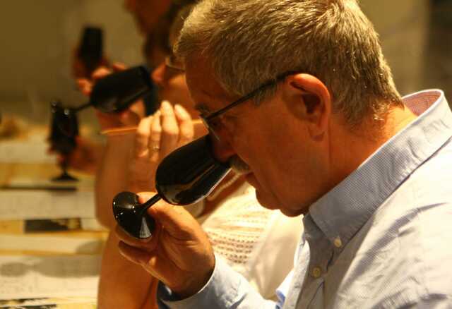 Balade sensorielle dans le vignoble du Rangen : mystères dans le verre !