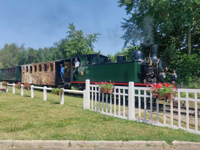 Retour vers le passé à bord du Train Thur Doller Alsace