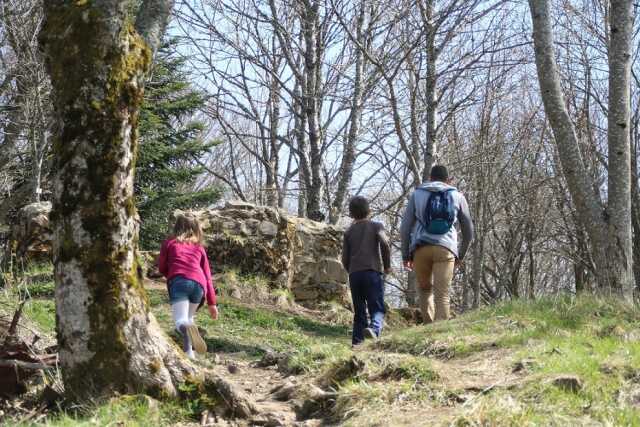 Atelier : les trésors de la forêt