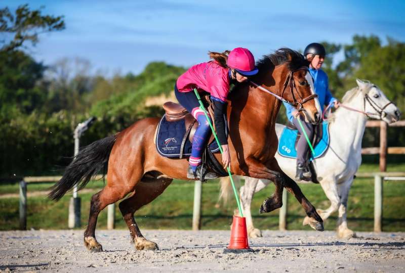 Concours de Pony Games