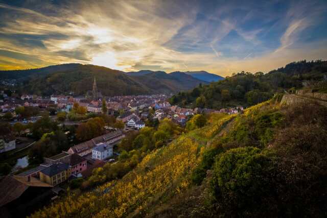 Vignobles en Scène Alsace : le Grand Cru Rangen à travers l'objectif