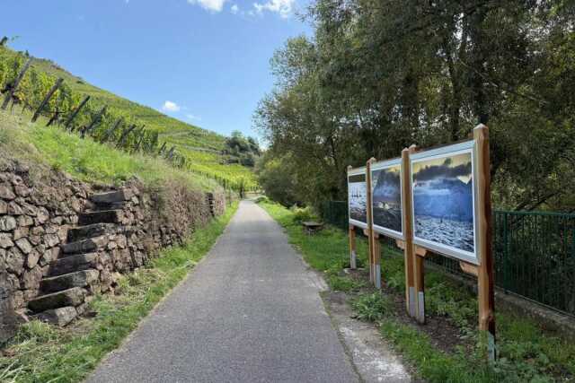 Promenades photographiques du Rangen – Édition Amateurs 2025-2026