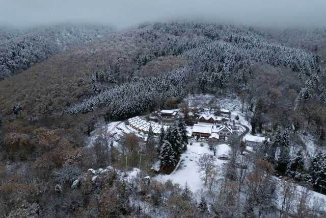 Exposition : 10 ans d'aventure du Hirtzentstein