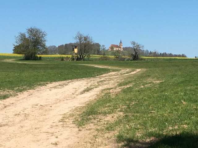 Marche ludique