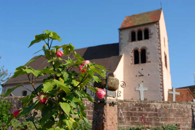 Balade ludique à Neuve-Eglise