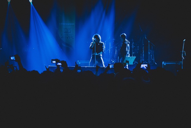 La vallée vagabonde : Concerts: MAYA KAMATY et SOVIET SUPREM